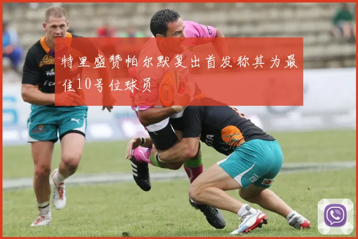 特里盛赞帕尔默复出首发称其为最佳10号位球员